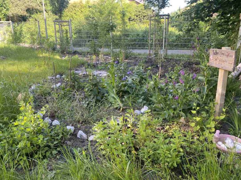 Read more about the article Unsere grüne Oase: wir gestalten einen Garten!